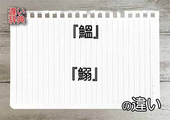 『鰮』と『鰯』の違いの意味を早わかり！