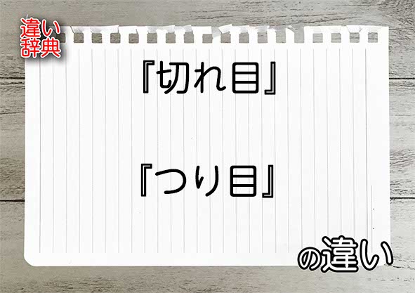 『切れ目』と『つり目』の違いの意味を早わかり！