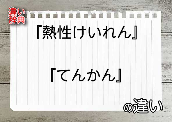 てんかんと熱性けいれんの診断