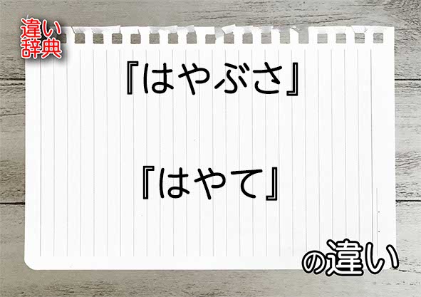 『はやぶさ』と『はやて』の違いの意味を早わかり！