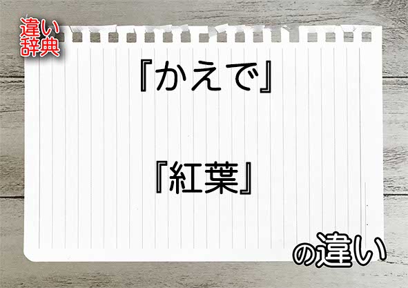 『かえで』と『紅葉』の違いの意味を早わかり！