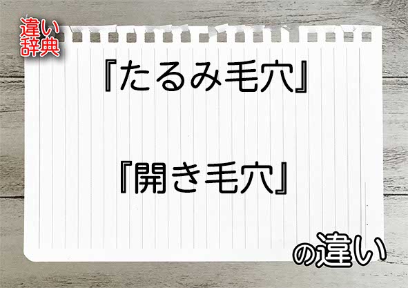 『たるみ毛穴』と『開き毛穴』の違いの意味を早わかり！