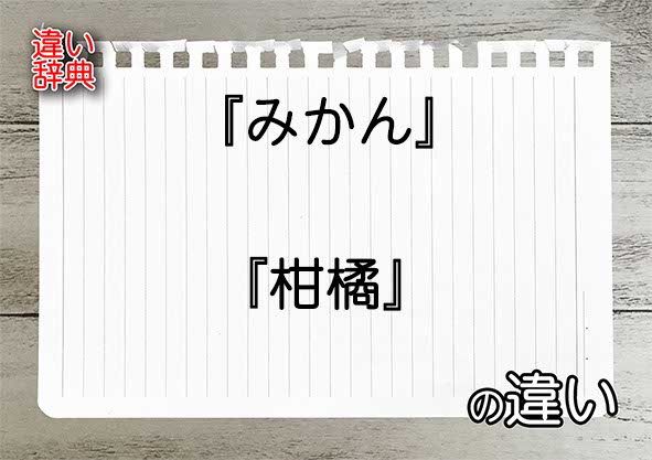 『みかん』と『柑橘』の違いの意味を早わかり！