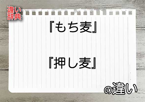 『もち麦』と『押し麦』の違いの意味を早わかり！