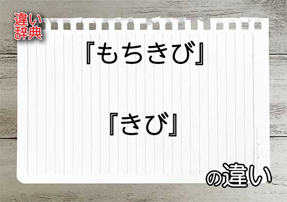 『もちきび』と『きび』の違いの意味を早わかり！