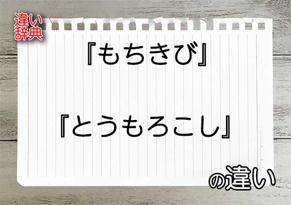 『もちきび』と『とうもろこし』の違いの意味を早わかり！