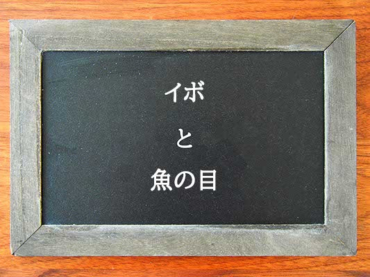 イボと魚の目の違いとは？違いを解説