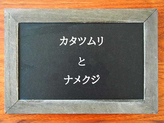 カタツムリとナメクジの違いとは？違いを解説