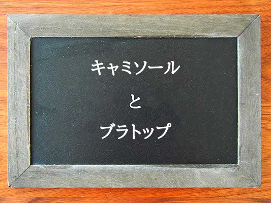 キャミソールとブラトップの違いとは？違いを解説