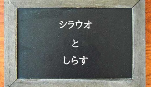 シラウオとしらすの違いとは？違いを解説