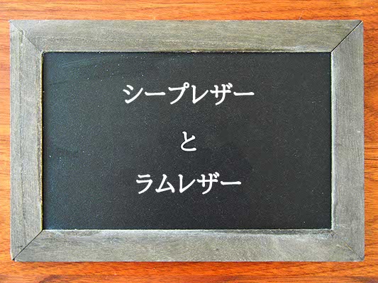 シープレザーとラムレザーの違いとは？違いを解説