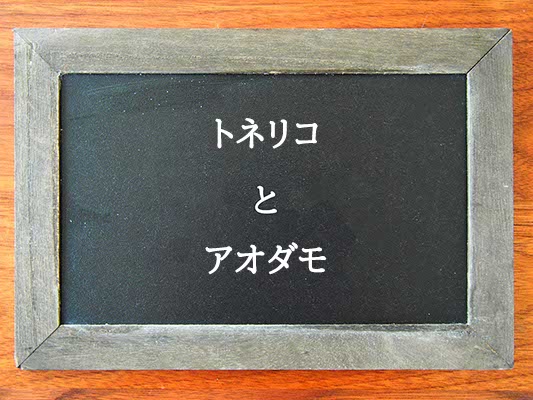 トネリコとアオダモの違いとは？違いを解説