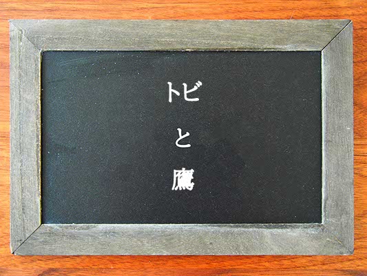 トビと鷹の違いとは？違いを解説