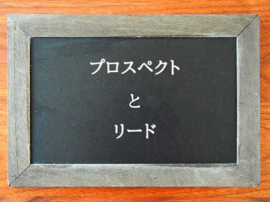 プロスペクトとリードの違いとは？違いを解説
