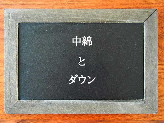 中綿とダウンの違いとは？違いを解説