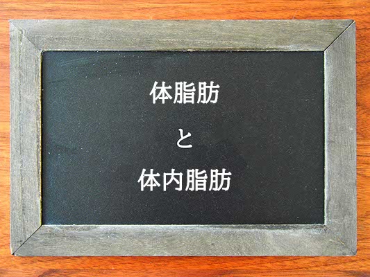 体脂肪と体内脂肪の違いとは？違いを解説