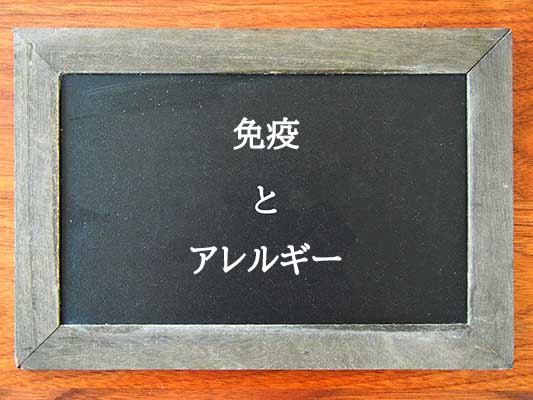 免疫とアレルギーの違いとは？違いを解説