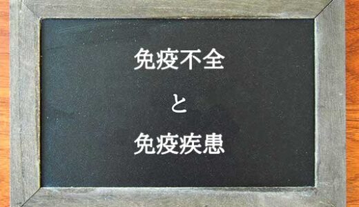 免疫不全と免疫疾患の違いとは？違いを解説