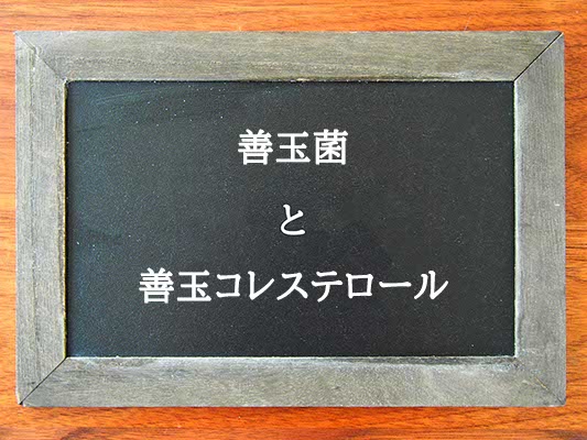 善玉菌と善玉コレステロールの違いとは？違いを解説