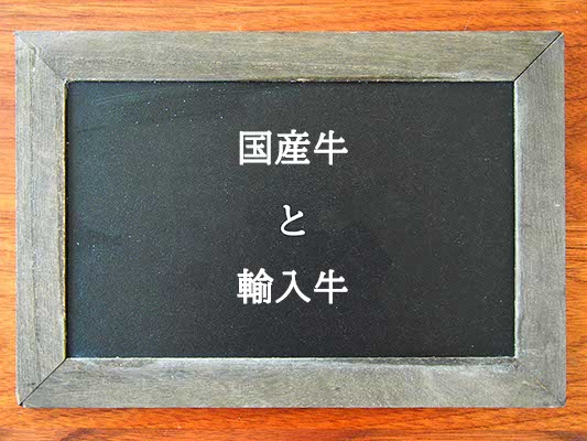 国産牛と輸入牛の違いとは？違いを解説