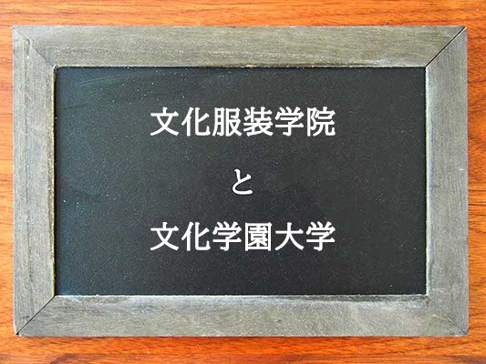 文化服装学院と文化学園大学の違いとは？違いを解説