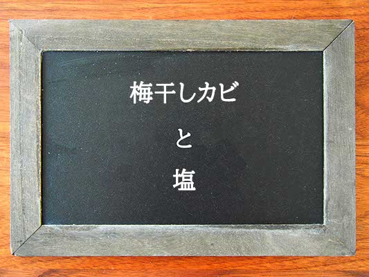 梅干しカビと塩の違いとは？違いを解説