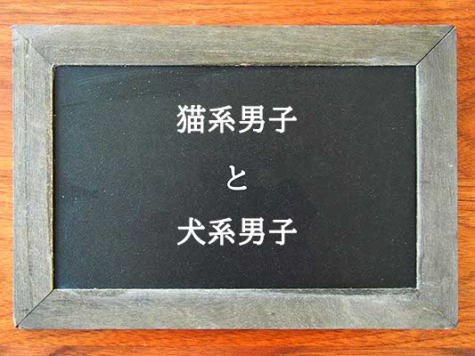 猫系男子と犬系男子の違いとは？違いを解説