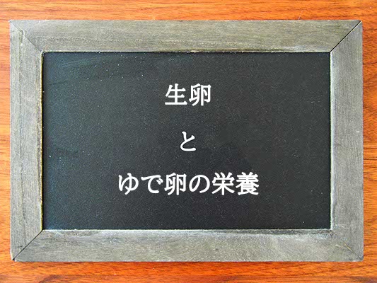 生卵とゆで卵の栄養の違いとは？違いを解説