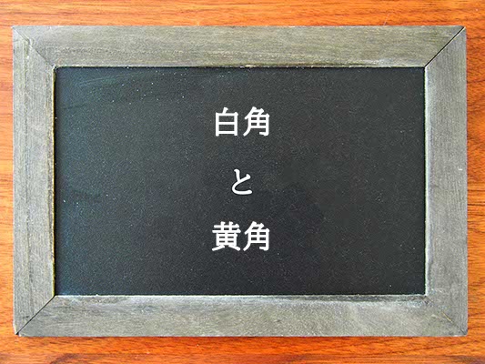 白角と黄角の違いとは？違いを解説