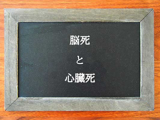 脳死と心臓死の違いとは？違いを解説