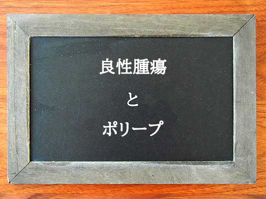 良性腫瘍とポリープの違いとは？違いを解説