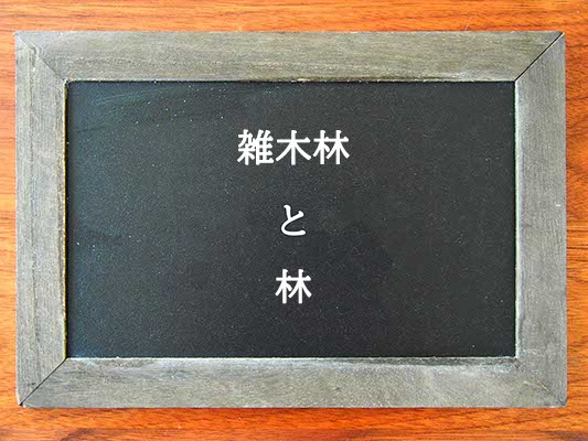 雑木林と林の違いとは？違いを解説