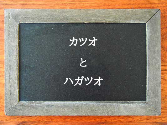 カツオとハガツオの違いとは？違いを解説