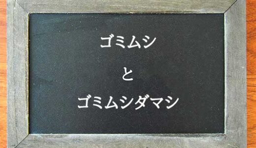 ゴミムシとゴミムシダマシの違いとは？違いを解説