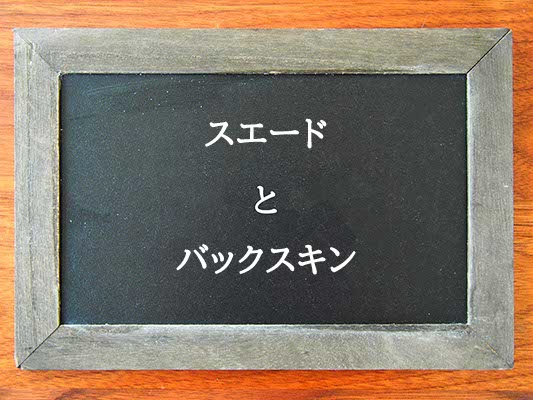 スエードとバックスキンの違いとは？違いを解説