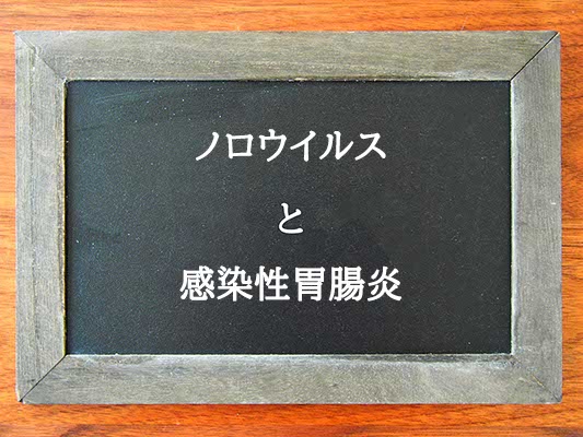 ノロウイルスと感染性胃腸炎の違いとは？違いを解説