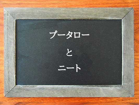 プータローとニートの違いとは？違いを解説