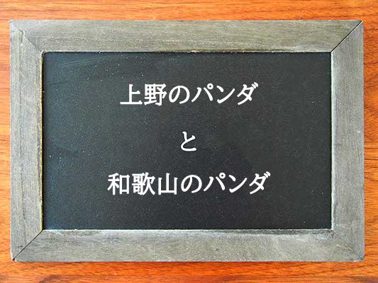 上野のパンダと和歌山のパンダの違いとは？違いを解説