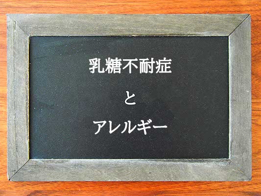 乳糖不耐症とアレルギーの違いとは？違いを解説