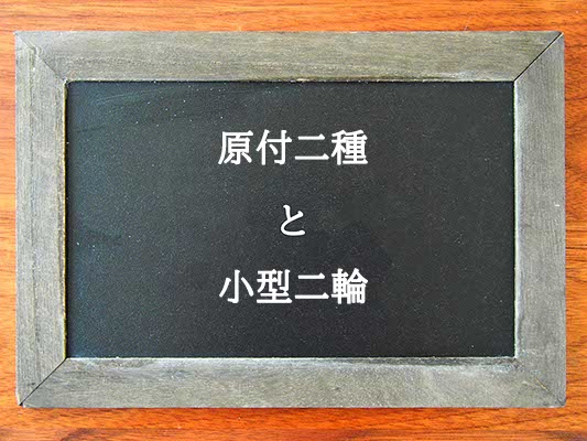 原付二種と小型二輪の違いとは？違いを解説