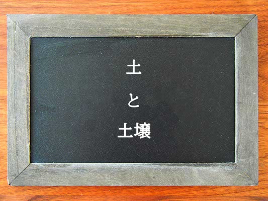 土と土壌の違いとは？違いを解説