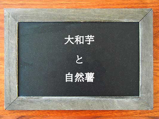 大和芋と自然薯の違いとは？違いを解説