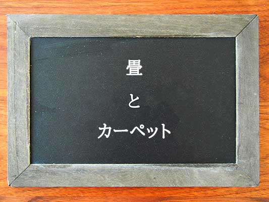 畳とカーペットの違いとは？違いを解説