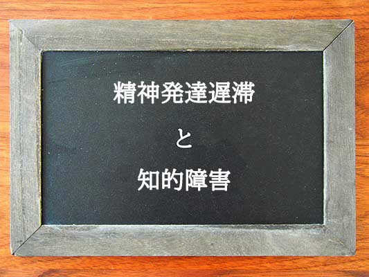 精神発達遅滞と知的障害の違いとは？違いを解説