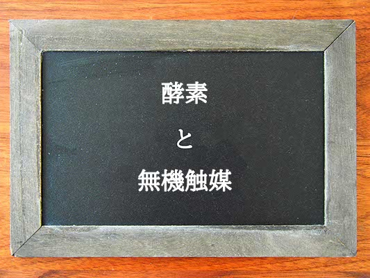 酵素と無機触媒の違いとは？違いを解説